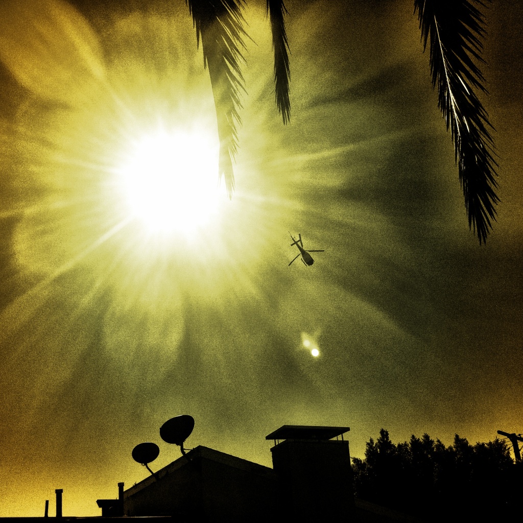Three symbols of Southern California - the Sun, a police helicopter, and a palm tree - converge in Cypress Park. Three symbols of Southern California - the Sun, a police helicopter, and a palm tree - converge in Cypress Park.