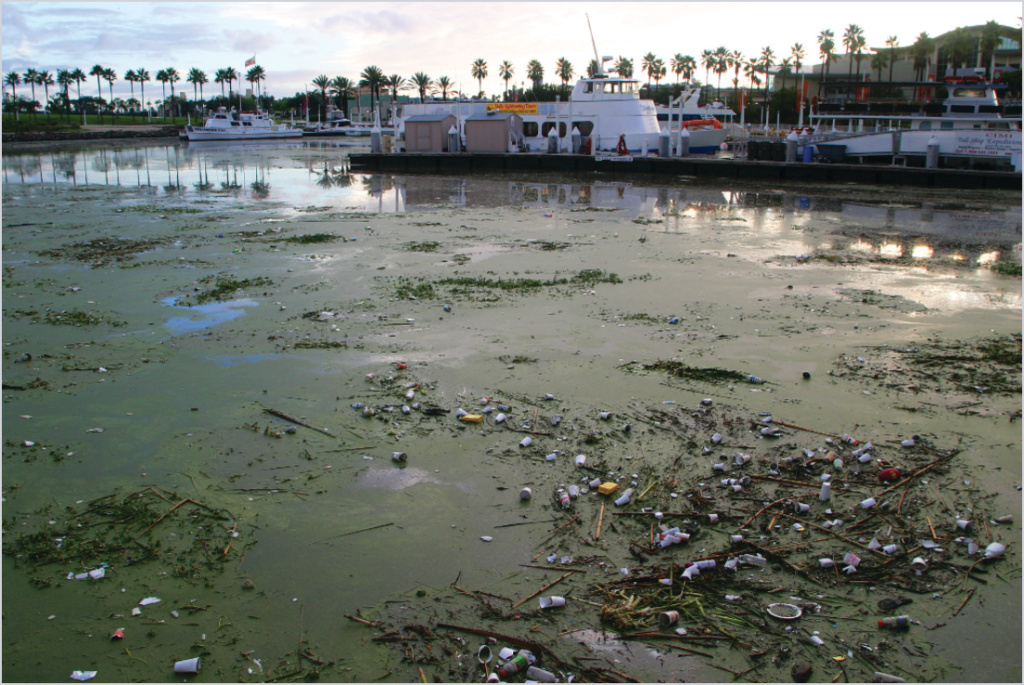Plastic trash is seen floating on the water at Rainbow Harbor in Long Beach. Plastic trash is seen floating on the water at Rainbow Harbor in Long Beach.