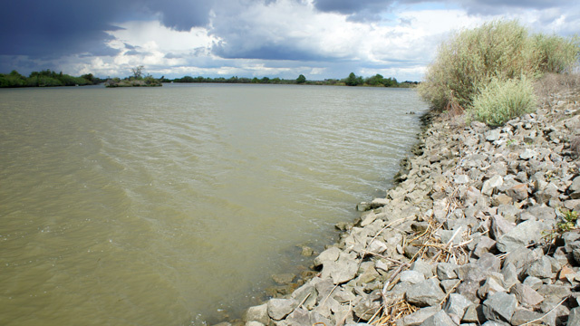 Delta A levee in the Sacramento-San Joaquin Delta.