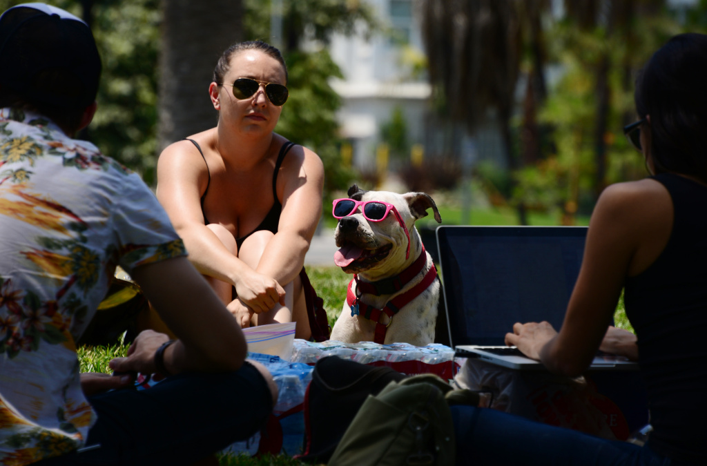 Desert Heat Wave Could See Temperatures Reach 118 Degrees Desert Heat Wave Could See Temperatures Reach 118 Degrees
