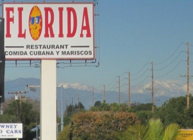 Caribbean dreaming against the snowy San Gabriels on a crisp Southern California winter day, January 4, 2011 Caribbean dreaming against the snowy San Gabriels on a crisp Southern California winter day, January 4, 2011