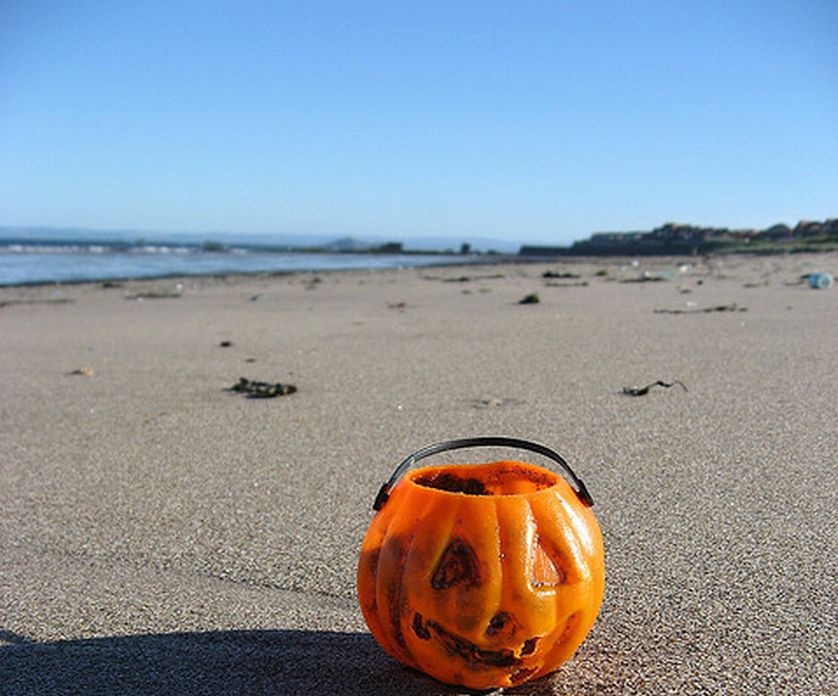 Return to mussel beach Annual shellfish quarantine ends 89.3 KPCC