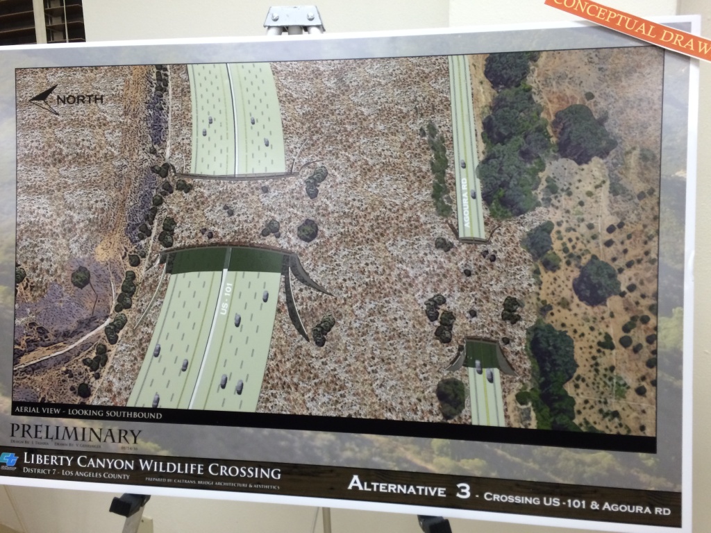 Liberty Canyon wildlife bridge A poster shows an artist's rendering of Alternative 3, which would put a bridge over both the 101-Freeway and Agoura Road.