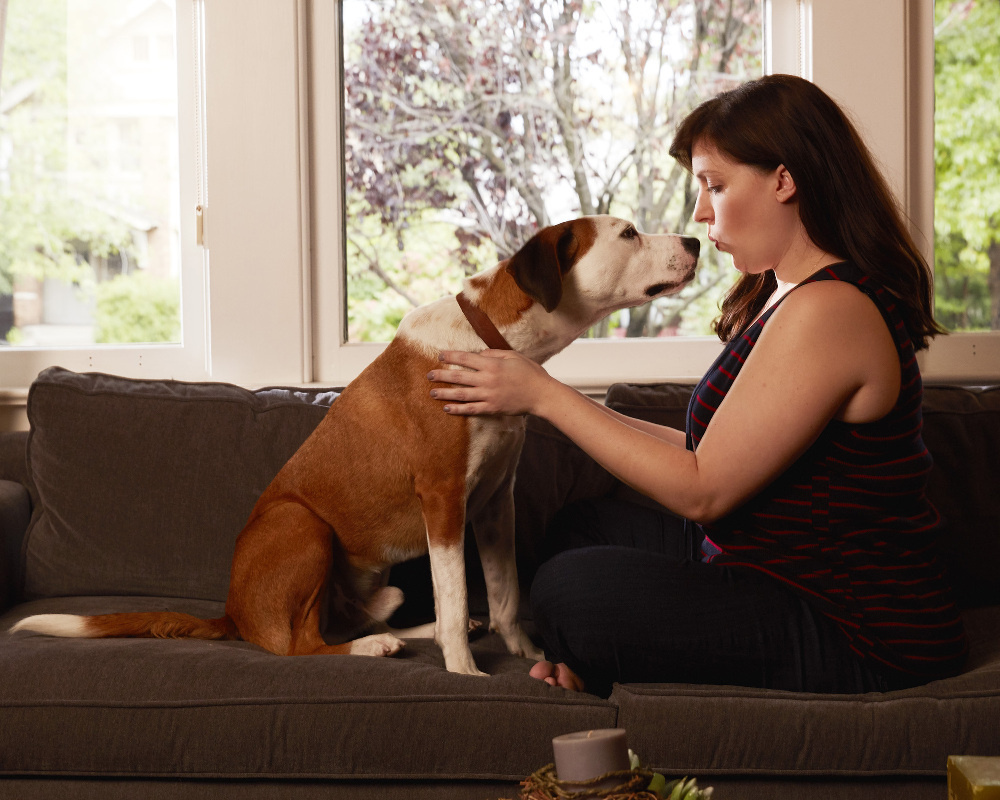 ABC’s “Downward Dog” stars Ned as Martin and Allison Tolman as Nan. DOWNWARD DOG - ABC's