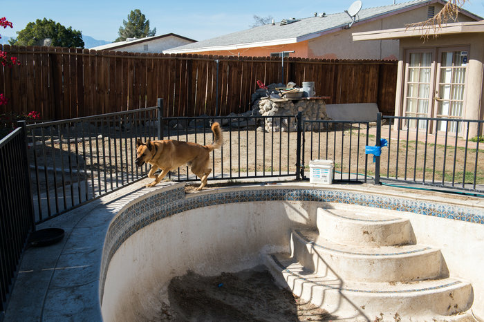 Some California Cities Criminalize Nuisance Code Violations Morales finally got the tenants to get rid of all of the chickens and went to city court to clear it all up. But there she was baffled to find out she was being criminally prosecuted for her tenant's annoying chickens.