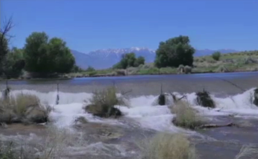 Flooded Owens River in June 2017 The Owens River flooding in June 2017 at the peak of the Sierra snowmelt.