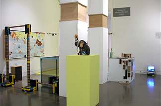 Mercer 7432 Scoli Acosta's installation at OCMA's 2006 Biennial: Imperfect Empathetic Sta.