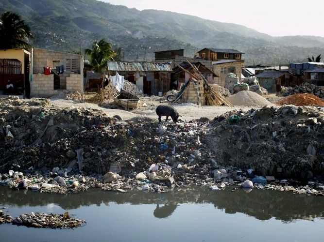 A lone pig roots through trash dumped over the side of a sewage canal that runs from the center of Port au Prince through Cite de Dieu. During the rainy season, the canal overflows its banks and fills nearby houses with sewage, which can carry cholera.