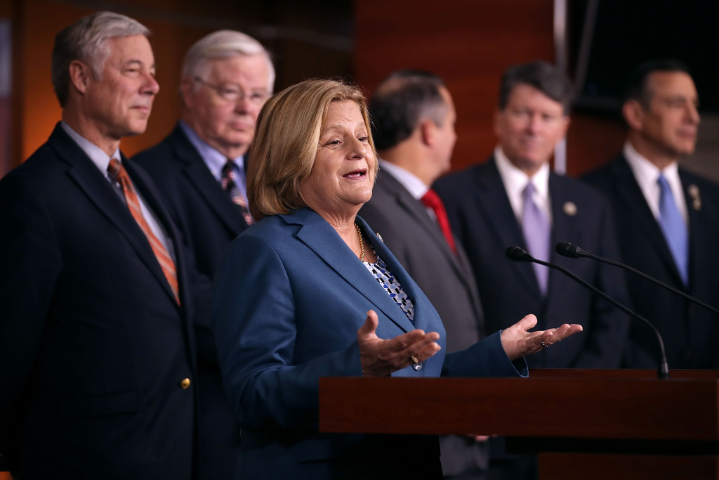 House Republicans Hold News Conference Encouraging Legislative Action On DACA Rep. Ileana Ros-Lehtinen (R-FL) is joined by more than a dozen Republican members of Congress as she speaks during a news conference about the Deferred Action for Childhood Arrivals (DACA) program at the U.S. Capitol November 9, 2017 in Washington, DC.