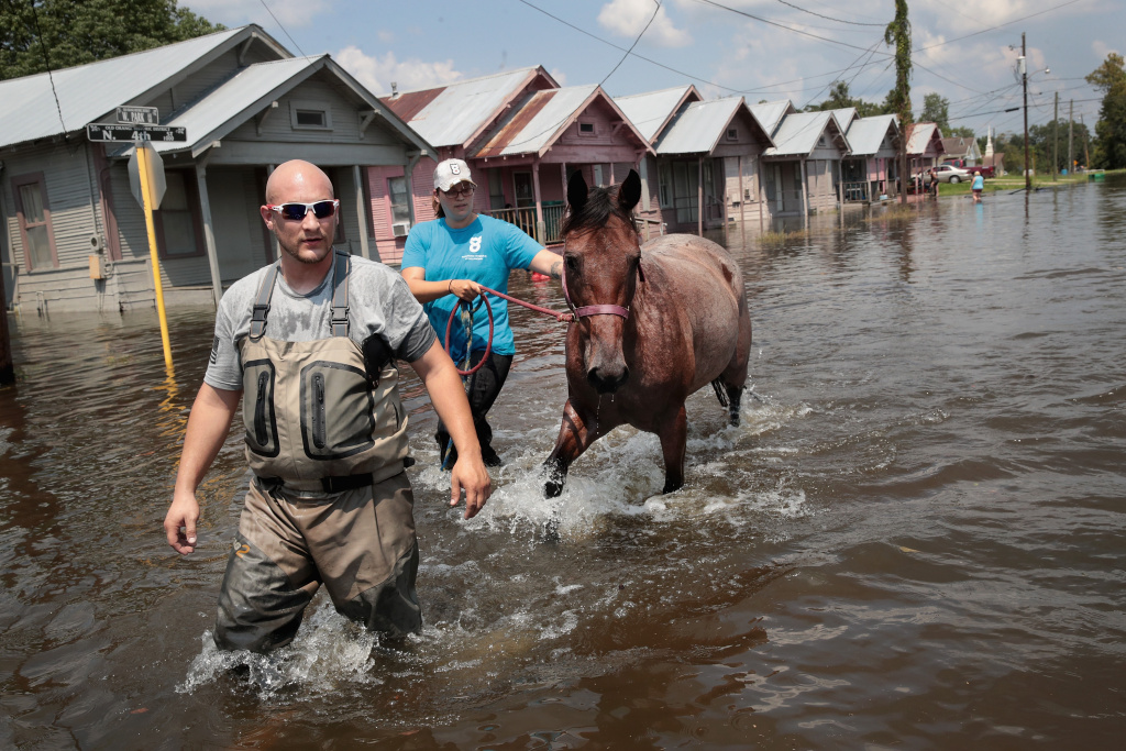 Southeast Texas Inundated After Harvey Makes Second Pass Over The Region Marine veterans Chris Miller (left) and Megan Lowry with the Wounded Veterans of Oklahoma rescue a horse from floodwater after torrential rains pounded Southeast Texas following Hurricane Harvey.