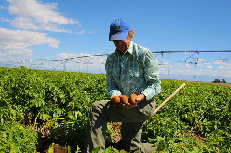 Opting to pay extra fees for water can be expensive, says potato farmer Doug Messick, Opting to pay extra fees for water can be expensive, says potato farmer Doug Messick,