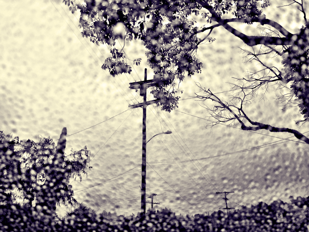 Rain through the windshield in L.A.'s Cypress Park neighborhood. Rain through the windshield in L.A.'s Cypress Park neighborhood.