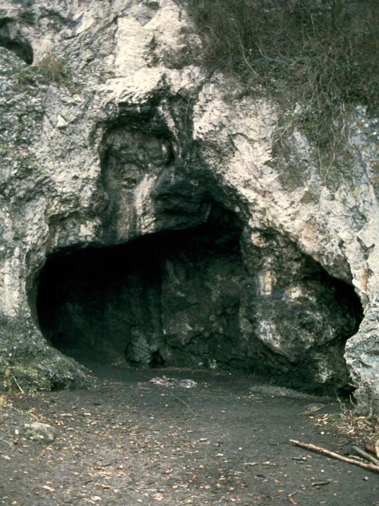 spy003-mod_vert-cada5fd46ed6eea7f4b0c51b5235b1389206ffad-s1400.jpeg The Spy Cave site in Belgium from which several Neanderthal skeletons were excavated in 1886. Only one skeleton was used in this study.