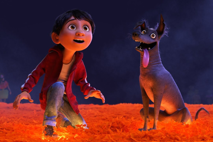 The Frame Slideshow How Coco Writers Directors Did Justice To An Error Occurred
