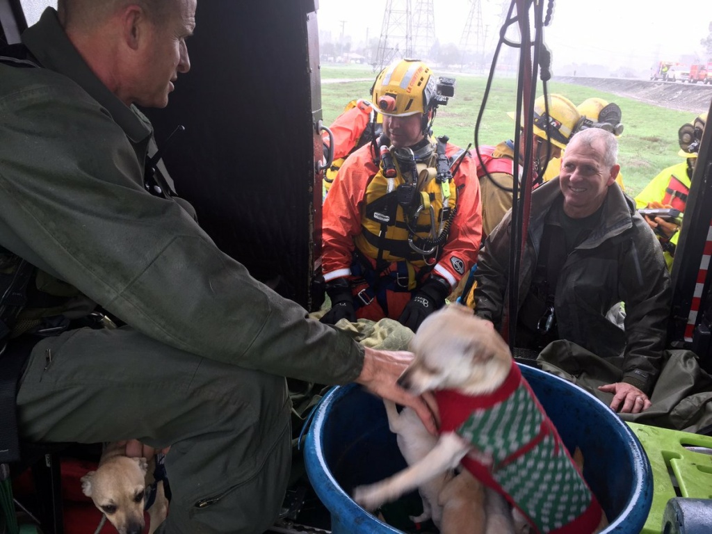 Two stranded women — and a litter of puppies — were rescued from the San Gabriel river bed on Friday, Dec. 16, 2016. Two stranded women — and a litter of puppies — were rescued from the San Gabriel river bed on Friday, Dec. 16, 2016.