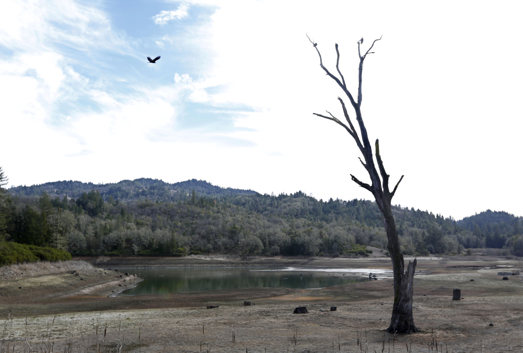 California Drought Communities In Crisis In this photo taken Tuesday, Feb. 4, 2014, is the Centennial Reservoir, one of the two water sources for the city of Willits, Calif. In the midst of a historic drought, the reservoir is only one-third full, forcing Willits city leaders to ban lawn watering, car washing, and mandated all residents to cut water use.