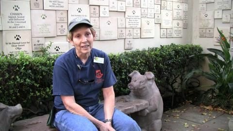 Marilyn Hoyt, a volunteer at the Pasadena Humane Society, tells KPCC about what it's like working with dogs and what keeps her coming back.