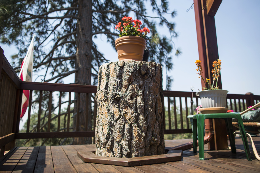 Tree Mortality - 5 Bear Valley Springs resident Mark Anderson designed his deck around a Ponderosa Pine that later died from bark beetles. Anderson transformed the stump into a table.