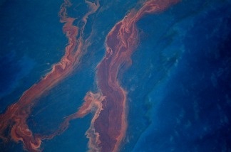 Crude oil leaked from the Deepwater Horizon wellhead sits on the surface of the water in the Gulf of Mexico on April 28, 2010 near New Orleans. Businesses and individuals who claim BP's oil spill in the Gulf of Mexico cost them money have been paid more than $1 billion through the company's class-action settlement, a court claims administrator said Thursday, January 10.