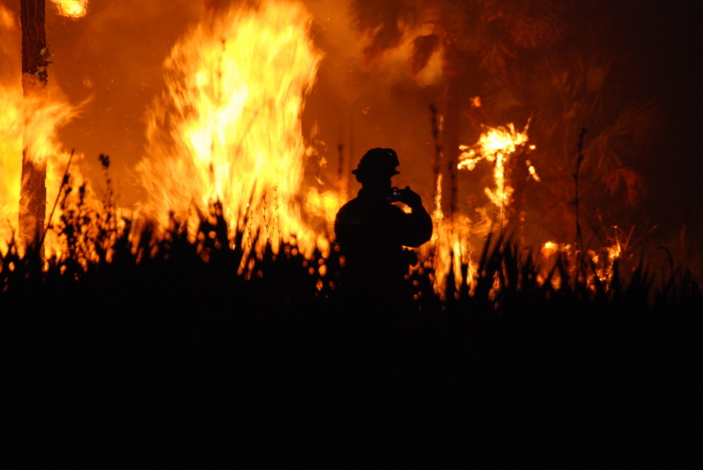 wildfire firefighter A wildfire at Florida Panther NWR. Photo by Josh O'Connor - USFWS.