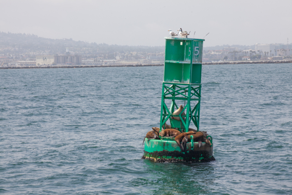 take-two-riding-along-with-the-port-pilots-of-los-angeles-photos
