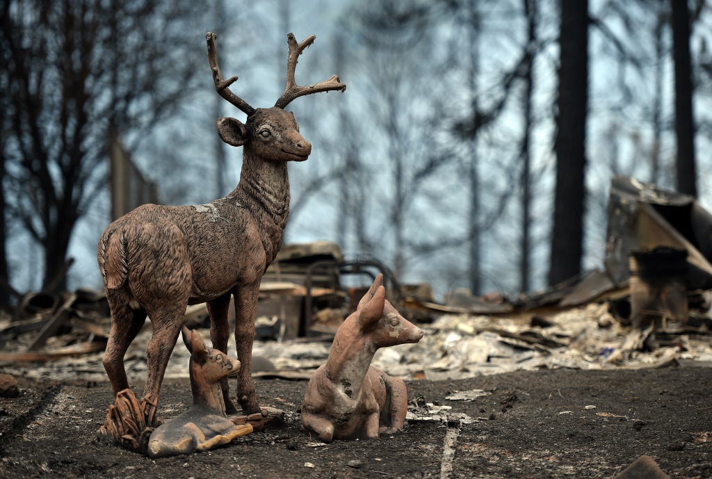 Infographic Containment on 2 Northern California wildfires coming soon