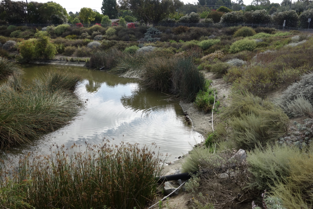 Dominguez Gap Wetlands The engineered Dominguez Gap Wetlands in Long Beach filters stormwater and runoff from the Los Angeles River, then the water is siphoned under the river to a spreading ground to the west.