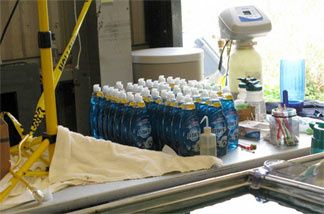 At a warehouse turned bird bathhouse in Venice, La., dozens of bottles of Dawn stand like soldiers behind a row of deep sinks.