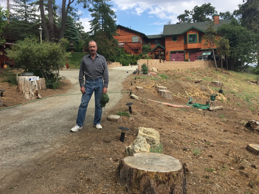 Mark Anderson stands in his yard in Bear Valley Springs in June 2017. He has spent almost $70,000 cutting down dead trees around his house. Mark Anderson stands in his yard in Bear Valley Springs in June 2017. He has spent almost $70,000 cutting down dead trees around his house.