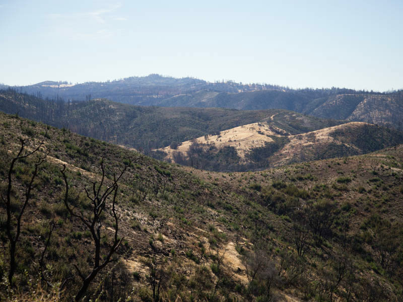 Calaveras County marijuana / California Counts The Butte Fire burned through much of Calaveras County in 2015 and was followed by a
