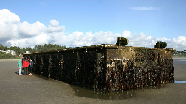 A nearly 70-foot dock that was torn loose from a fishing port in northern Japan by last year's tsunami washed ashore on Agate Beach in Oregon. Marine scientists have found potentially invasive species among the 100 tons of marine life that traveled aboard the dock.