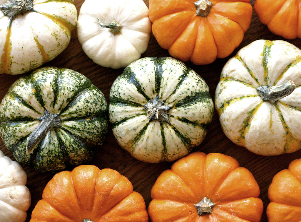 pumpkins