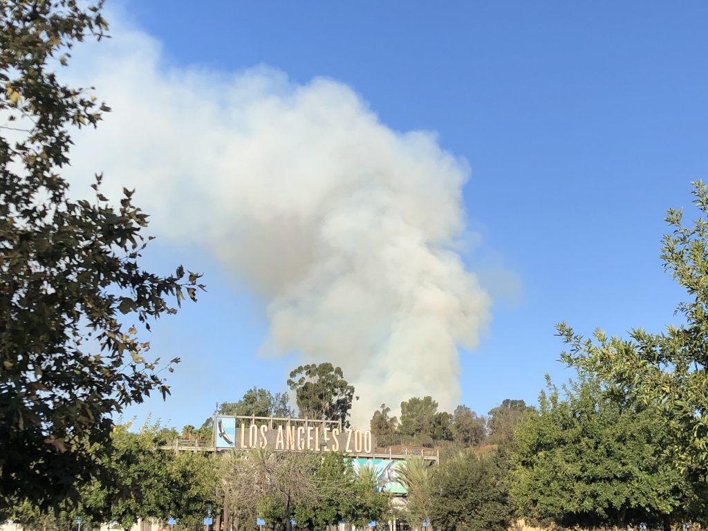 A fire burns behind the Los Angeles Zoo, in Griffith Park. (Matt Tinoco/KPCC) A fire burns behind the Los Angeles Zoo, in Griffith Park. (Matt Tinoco/KPCC)