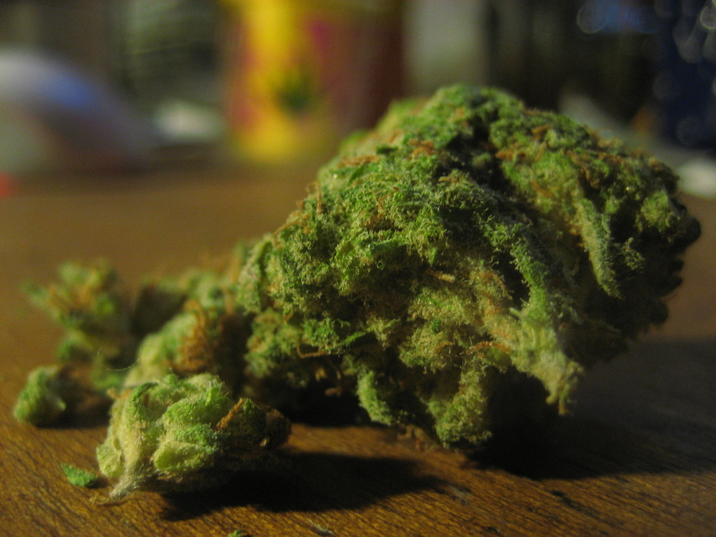 marijuana bud pot