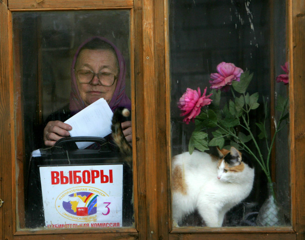 Election day slideshow A government of the cats, by the cats, for the