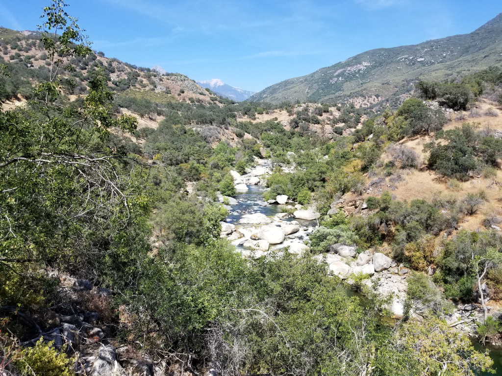Forests in and around Sequoia National Park are seeing some of the highest levels of tree mortality. Photo courtesy of National Park Service Forests in and around Sequoia National Park are seeing some of the highest levels of tree mortality. Photo courtesy of National Park Service