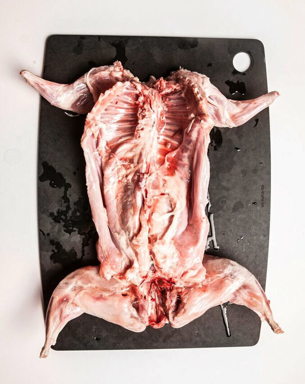 Rabbit, skinned and gutted, and ready to be made into rabbit stifado (a Greek stew with wine and onions) or rabbit ragu with penne and parmesan, a recipe devised by Horsey that has received rave reviews from Ugly Food readers in the UK.