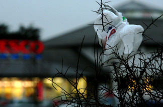 Plastic bags have not been banned in the state, but many California cities are pushing forward to ban them