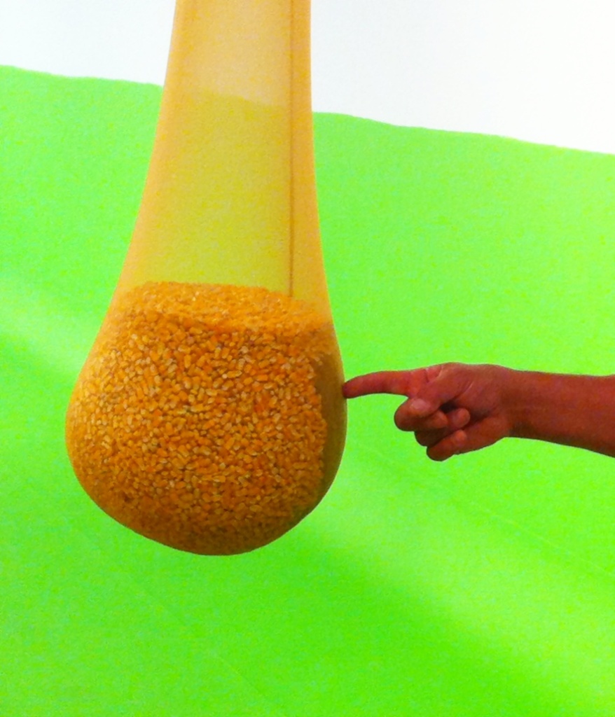MoLAA A bag of corn in Ernesto Neto's