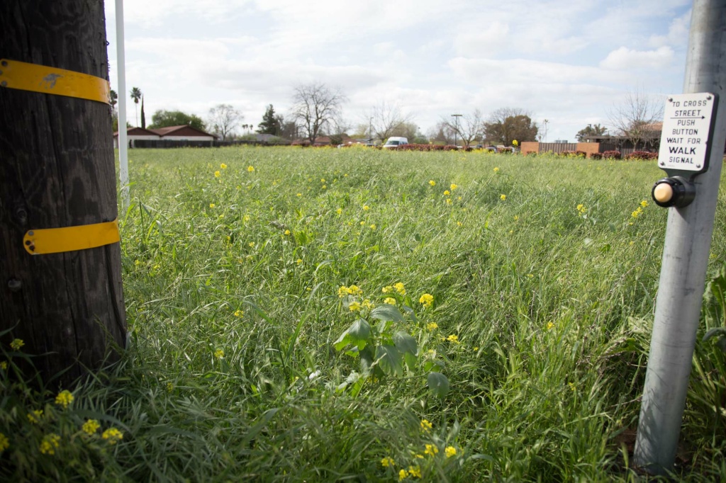 California Counts Darryl Lucien says this undeveloped, city-owned field in Meadowview is often
