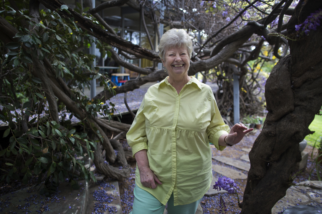 Slideshow Wistaria Festival How did Sierra Madre's recordsetting