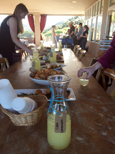 Wine and Weed At a wine and weed dinner held at a Northern California winery, the offerings on an hors d'oeuvres table include cannabis lemonade.