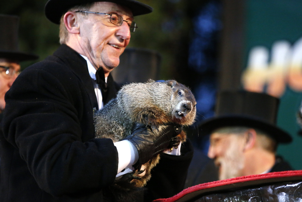 groundhog day homeless groundhog day punxsutawney phil scoffs at the idea of an groundhog day homeless groundhog day punxsutawney phil scoffs at the idea of an