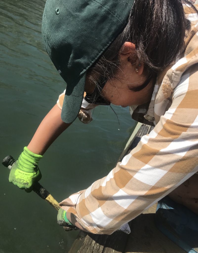Elena Huynh uses a tool to pull up a plastic panel.
Elena Huynh uses a tool to pull up a plastic panel.