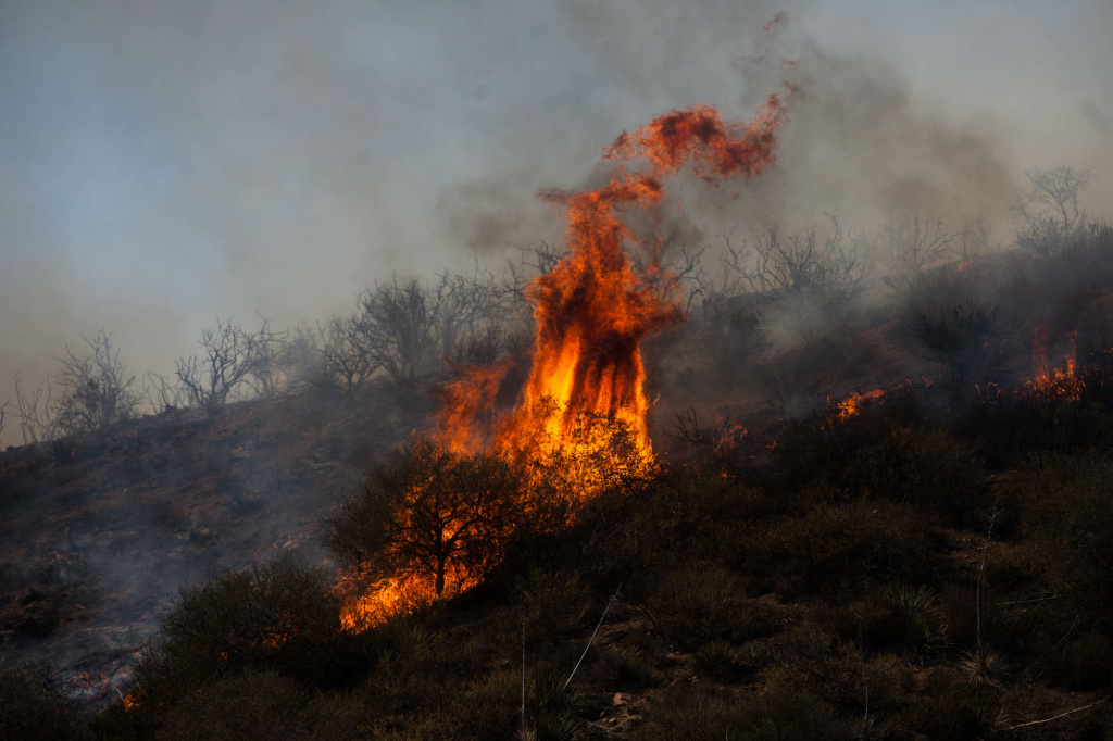 UPDATE Camarillo Springs Fire at 8,000 acres, only 10 percent