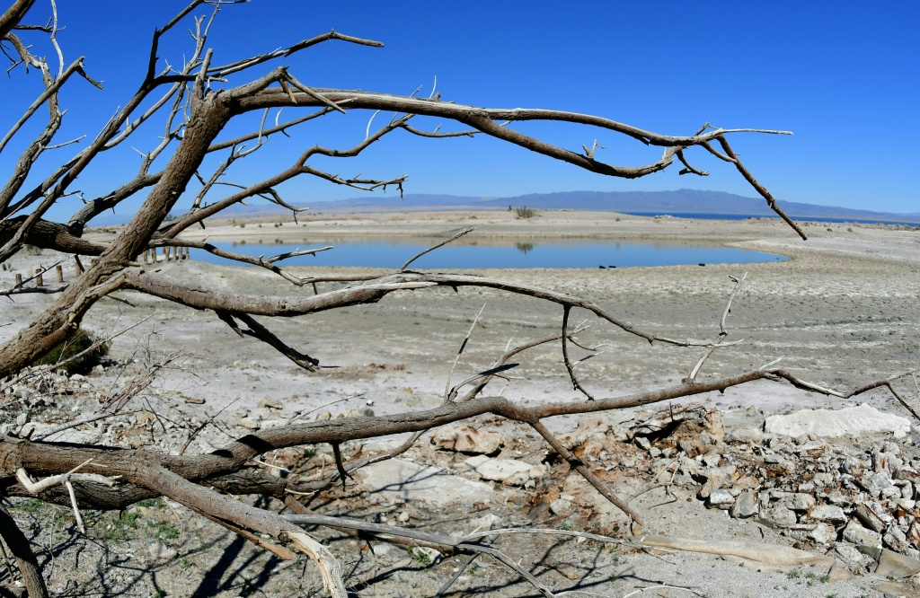 US-ENVIRONMENT-ECONOMY A dead tree frames a former marina inlet on the Salton Sea in Salton City, California, March 1, 2017.