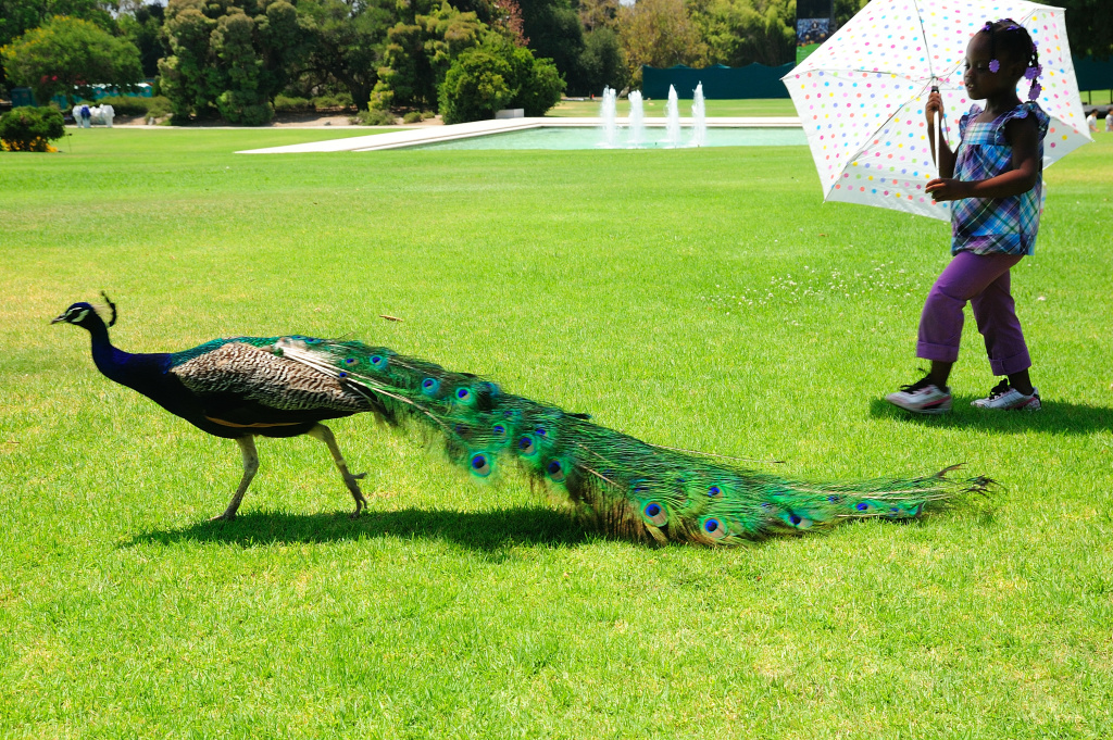6 Things To Do In Socal This Weekend 89 3 Kpcc 6 Things To Do In Socal This Weekend