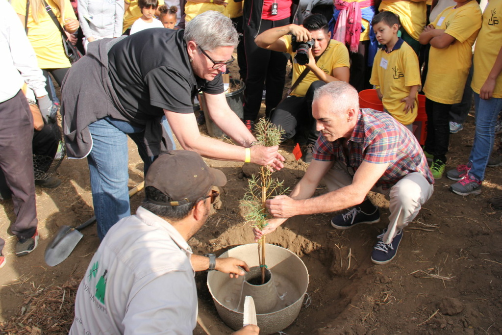 Elysian Park tree canopy Councilman Mitch O'Farrell (R) helps plant a tree in Elysian Park using a Land Life Company