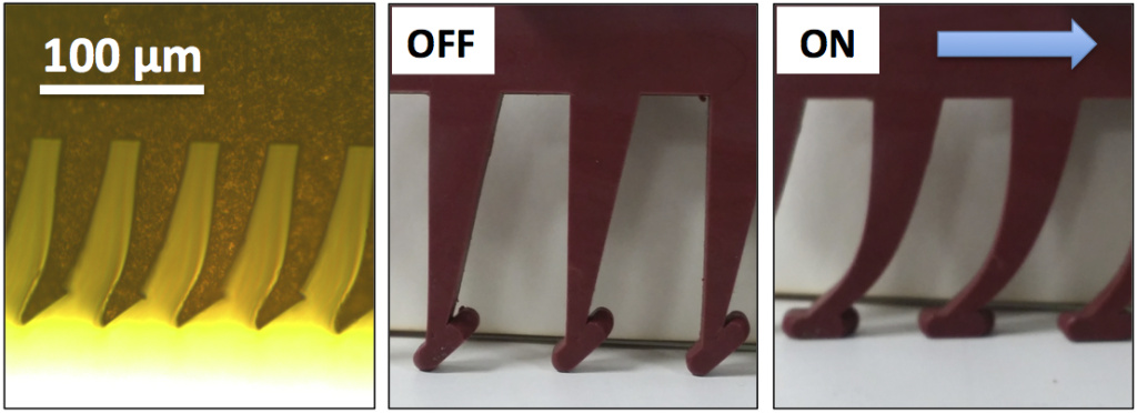 Gecko Grippers - use this An image showing how Gecko Grippers can be activated and turned off by a simple motion.