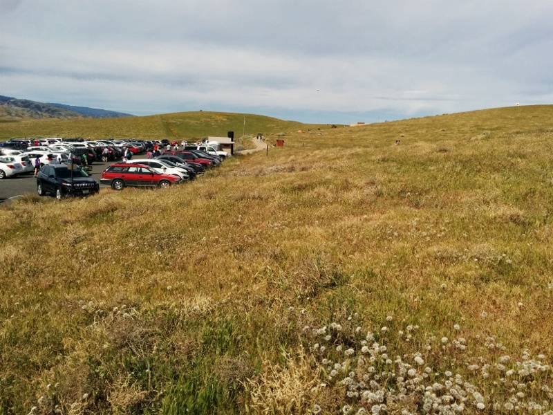 What Is The Function And Responsibility Of A Medical Records Department At A Hospital